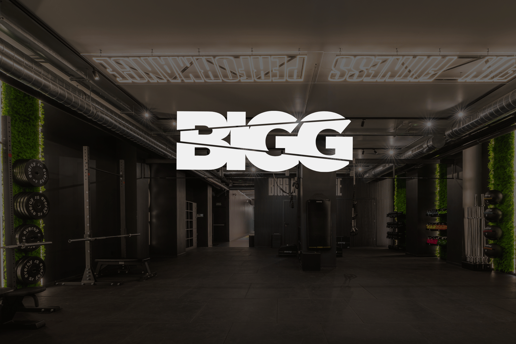 Bigg Fit